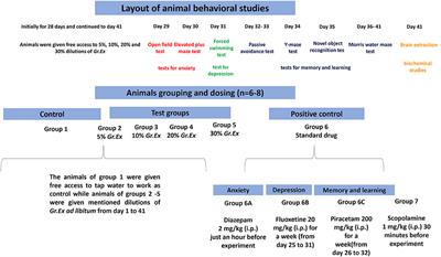 Grewia asiatica Berry Juice Diminishes Anxiety, Depression, and Scopolamine-Induced Learning and Memory Impairment in Behavioral Experimental Animal Models